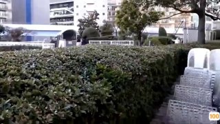 极品少妇2⭕❌⭕❌小说残暴王爷的弃妃